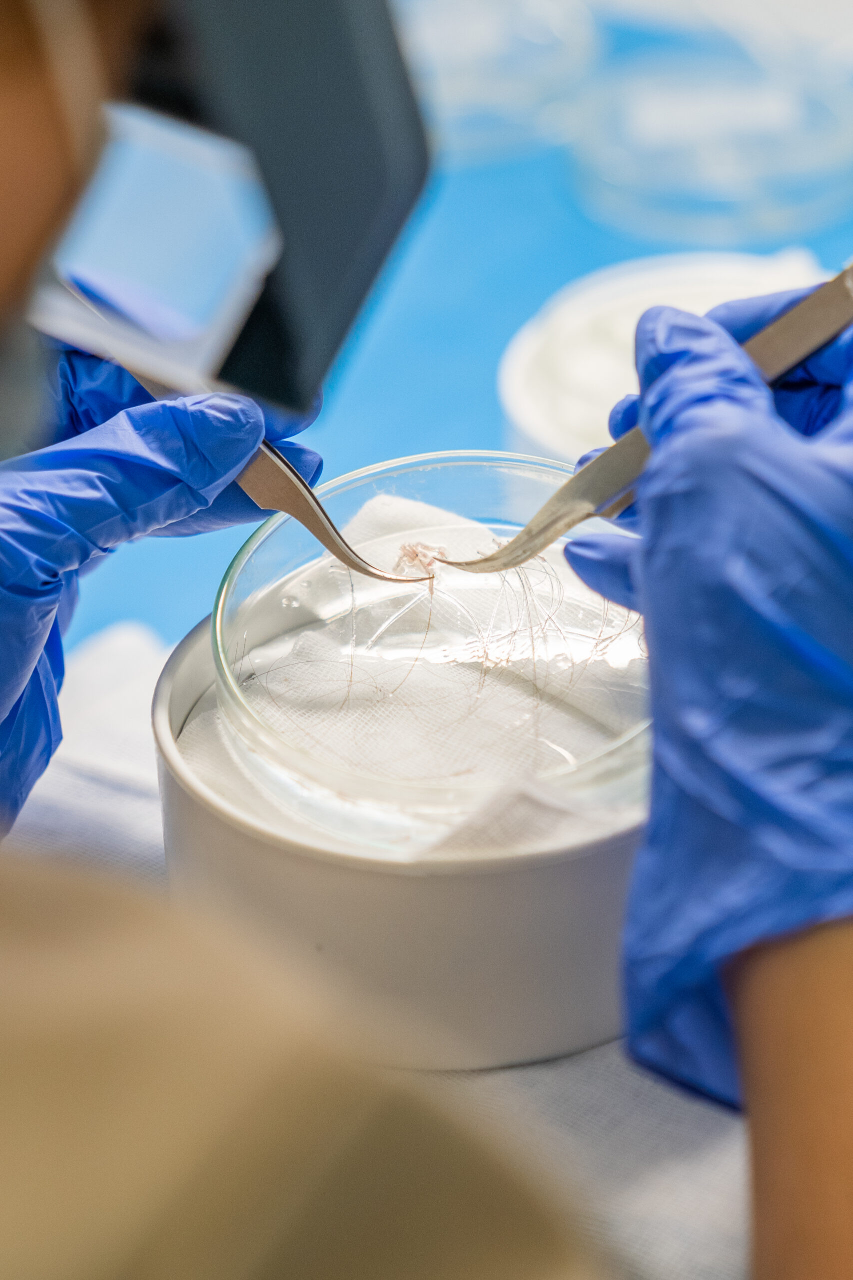 skincare-tendencia-cuidado-rutina-de-skincare-skincare-coreano-limpieza-facial-clean-skin-cycle-cuidado-facial-exosomas-prebioticos-probioticos